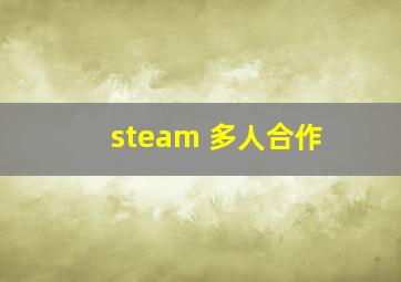 steam 多人合作